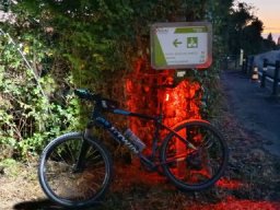 Mes photos 2026 &raquo; 2026-07-25 - bois-de-céné - 85